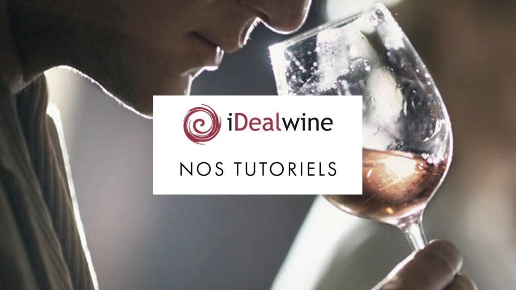 Comment ouvrir une bouteille de vin avec un tire-bouchon sommelier comme un pro